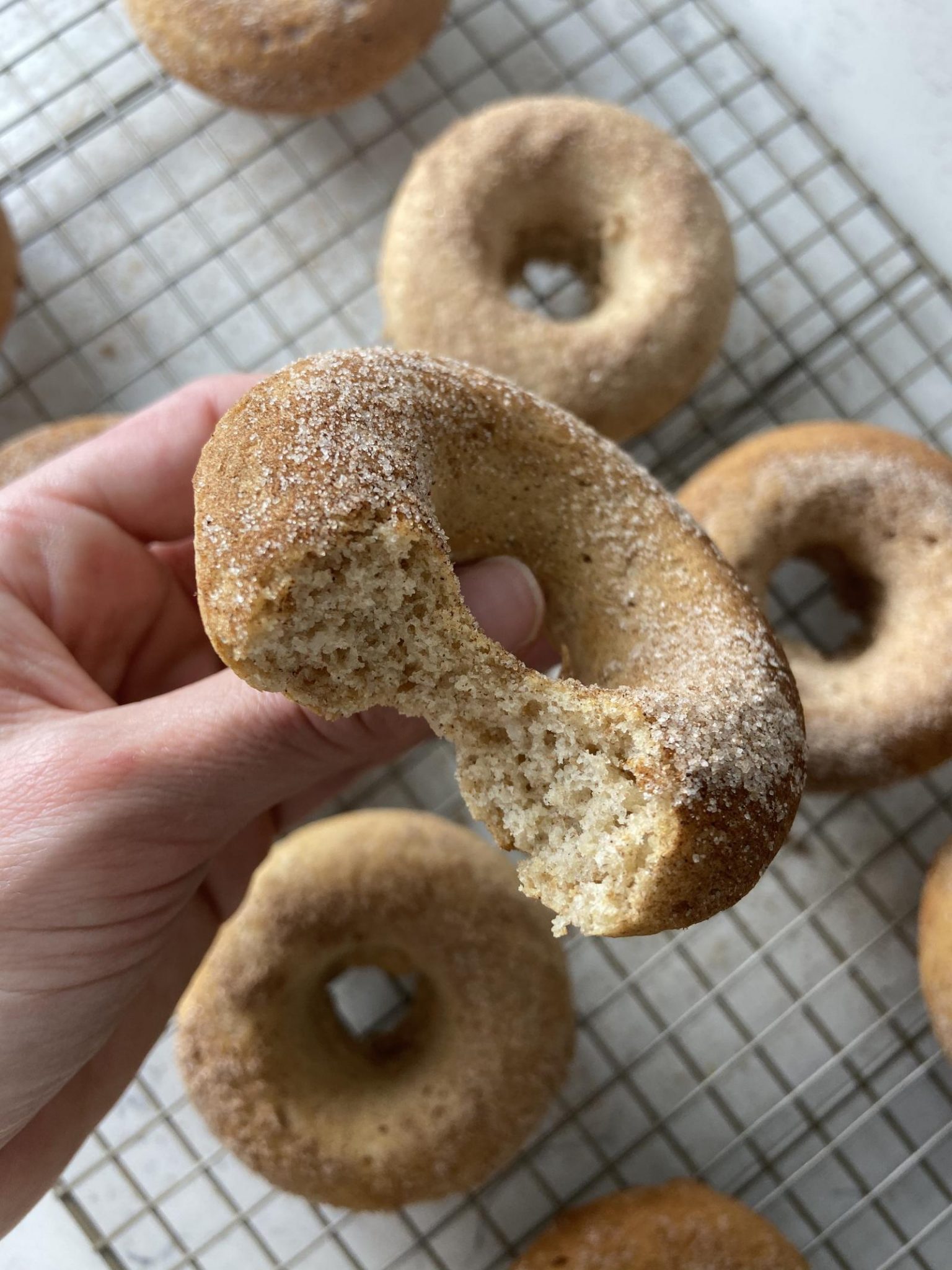 Baked Old Fashioned Donuts - The Dessert Dietitian